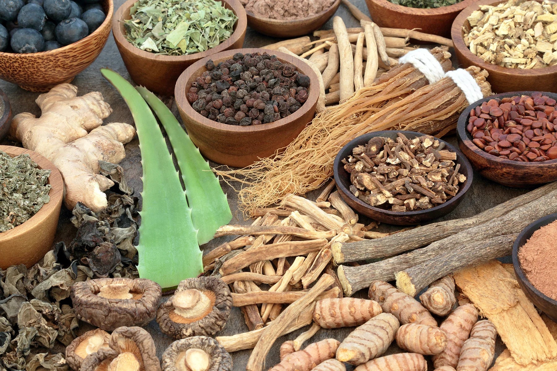 What Are Adaptogens? How They Work and Why They Belong in Your Coffee
