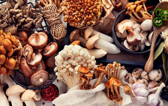 Why Adaptogenic Mushrooms Are Suddenly in Everyone's Coffee