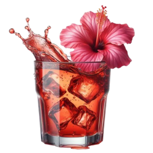 HIBISCUS EARTH TEA